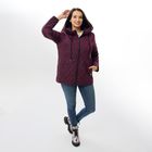 Куртка Вівальді, бордова, Колір: Бордовий, Розмір: 46